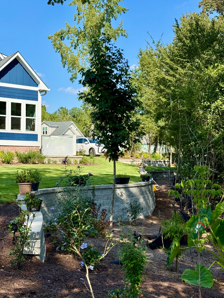 dad 8 retaining 2.webp